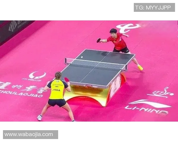 南京乒乓球队全国锦标赛拼搏历程展现团队精神与奋斗不息的决心