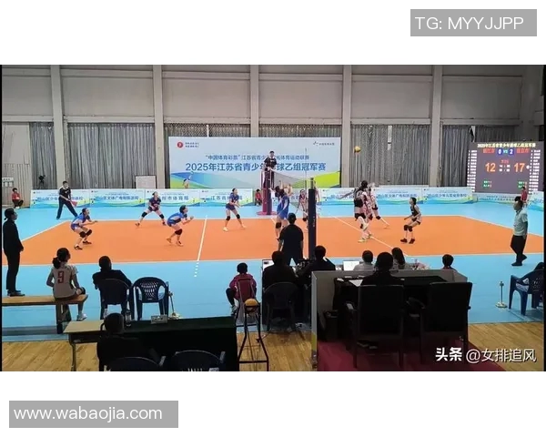 南京排球队的灵活性揭秘：从训练到比赛的全方位解析与展现